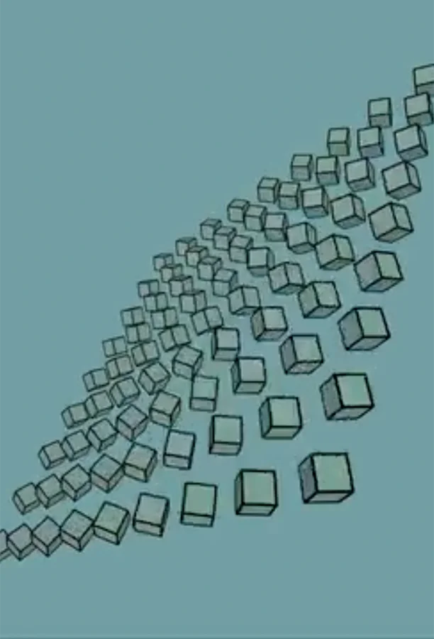 p5.js code alongside the sketch it produces
